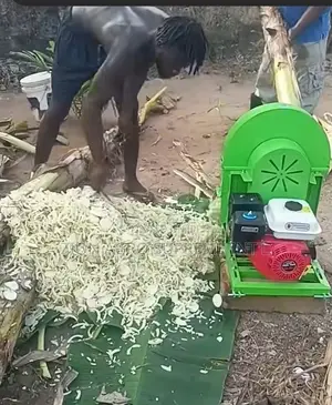 Plantain /Banana Stems Crusher
