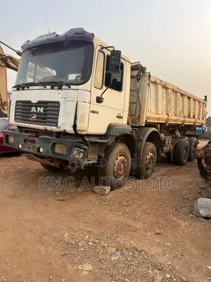 Man Truck 12tyre