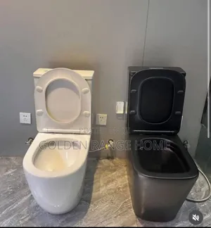 Watercloset Seat And Tank