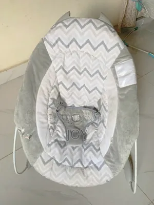 Us Used Ingenuity Baby Bouncer