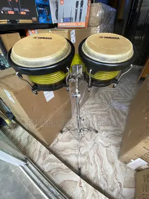 Professional Bongo Drum