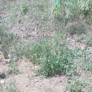 1 Hectare Of Land At Ibeju