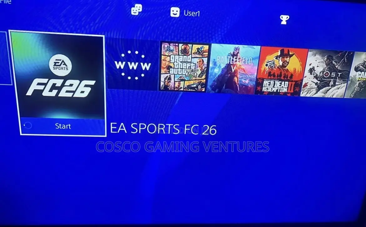 Ps4 Ps3 Ps5 Game Installation