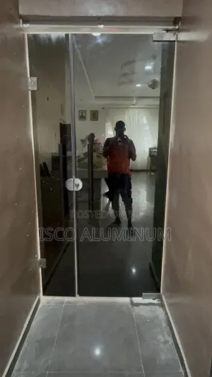 Frameless Door Glass
