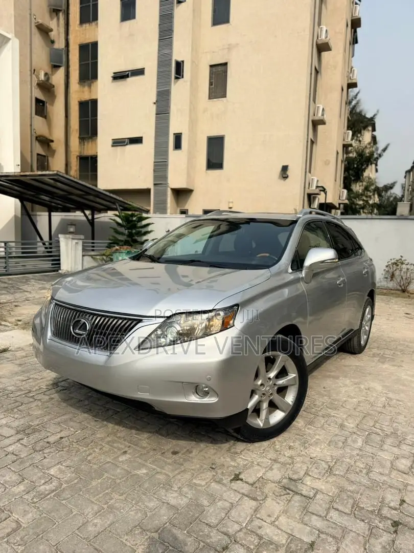 Lexus RX 2011 Gray