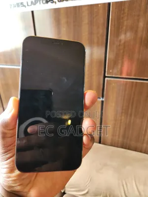 Apple iPhone 12 Pro 256 GB Gray