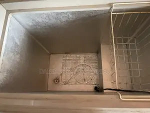 Thor Deep Freezer