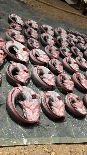 Oven Dried Catfish