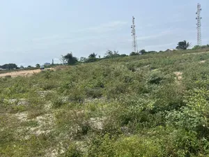Gazetted Land in Akodo