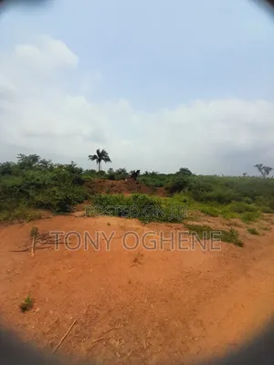 Plots and Acres of Land for Sale in Onicha-Ugbo, Aniocha North