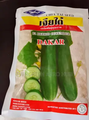Dakar Cucumber Seeds 50g