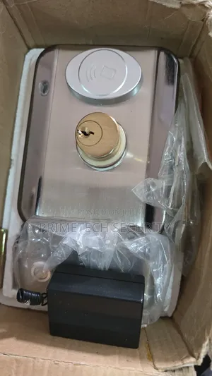 Security Electric Rim Lock With Remote