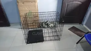 Dog and Cat Cage