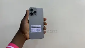 Apple iPhone 15 Pro Max 256 GB Gray