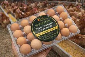 Real Eggs, Quality Protein, No Gmo