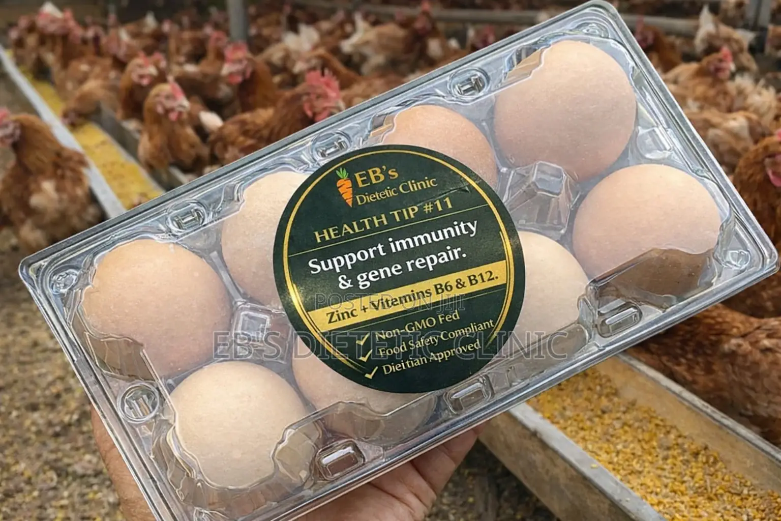 Real Eggs, Quality Protein, No Gmo