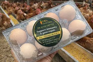 Real Eggs, Quality Protein, No Gmo