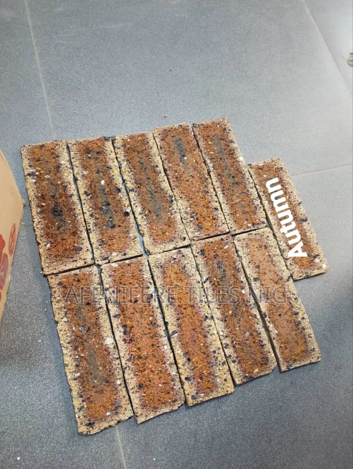 South Africa Bricks