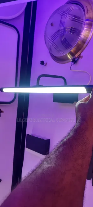 Luxury Mirror/Picture Frame Light