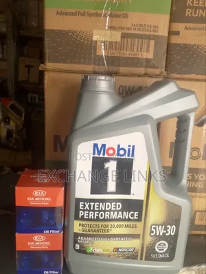 Oil Filter Kia and Mobil 1 5w-30 Full Synthetic Engine Oil 5l