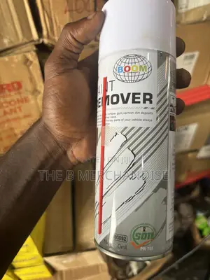 Paint Remover
