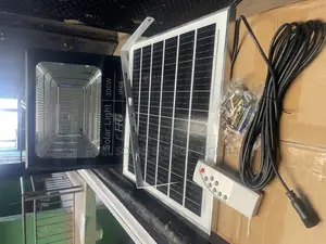 FFG 300w Solar Flood Light