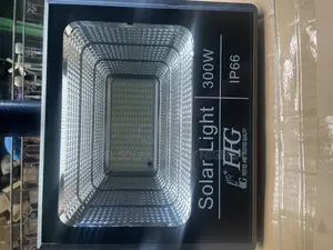 FFG 300w Solar Flood Light