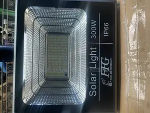 FFG 300w Solar Flood Light
