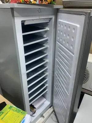 Ice Block Maker Freezer 10 Steps MDL 198ltr