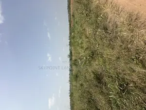16 Acres Available at Sirafu, Off Iseyin/Ibadan Express Road Iseyin