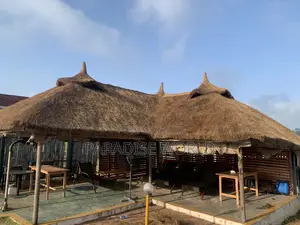Thatch House/ Gazebo