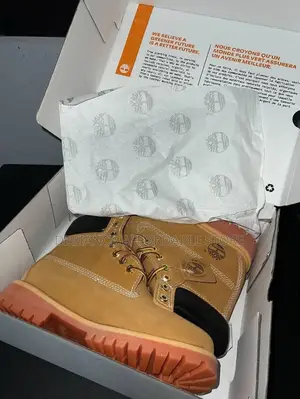 Timberland Shoe