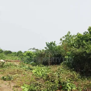 Farm Land Available Epe