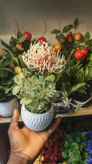 Table Cup Flower Available as Seen