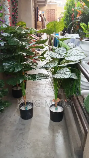 Artificial Plant and Pot Available