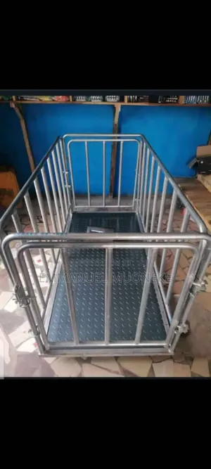 Animal Weighing Scale Or Walk Scale