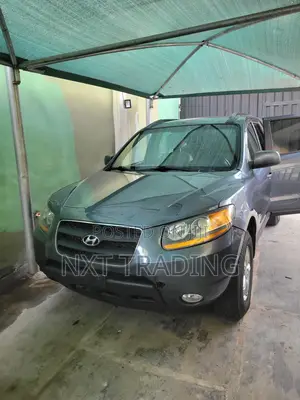 Hyundai Santa Fe 2.7 V6 2009 Gray