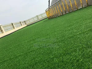 Artificial Grass Give Ur Compand Nice Looking