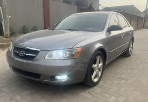 Hyundai Sonata SE V6 2009 Gray