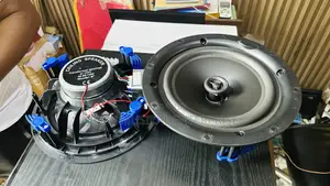 50watts Passive Woofer Ceiling Speakers