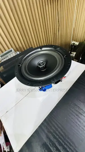 Framless Passive 50w Ceiling Speakers