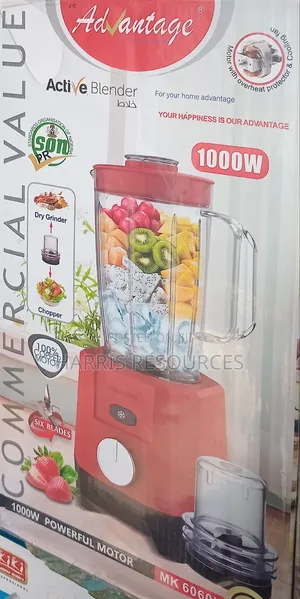 Blender and Grinder With Double Mills- Advantage Mk8031