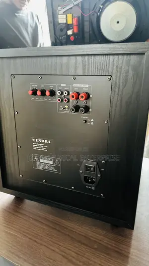 300w Active Floor Woofer For Cinema Setup Home Used Etc