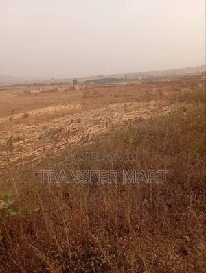 Karshi Apo Express Road One Hectare Is Available