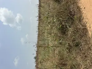 50 Acres Available at Ogungbe Off Iseyin/Ibadan Road Iseyin Oyo State