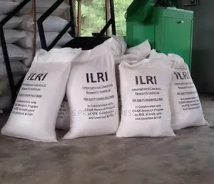 Sac Bags Printing