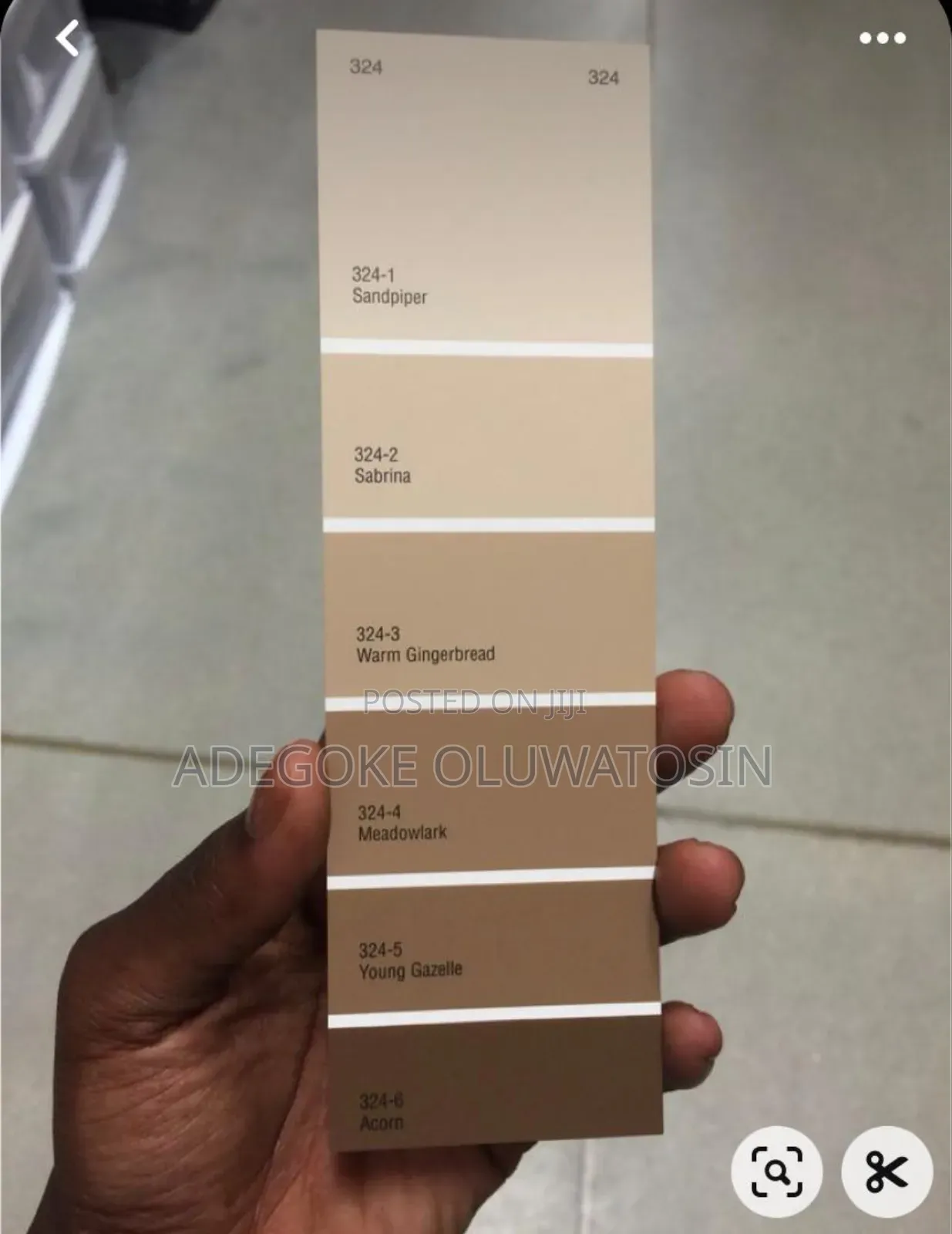 Best Painter and Wallpaper Installer