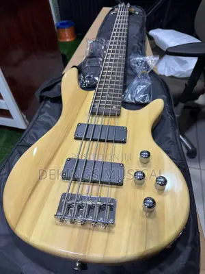 Fender Passive 5 Strings Bass Guitar