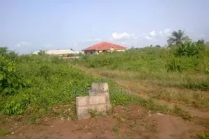 A 100 By 100ft Land Available For Sale At Okhun Community Isihor