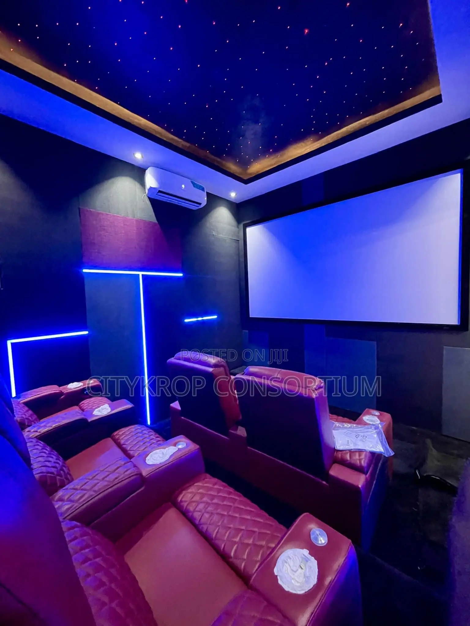 Cinema Installation